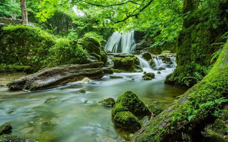 智能系统高性能高端